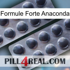 Anaconda Strong Formula 31